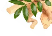 Essential Vitamins & Minerals